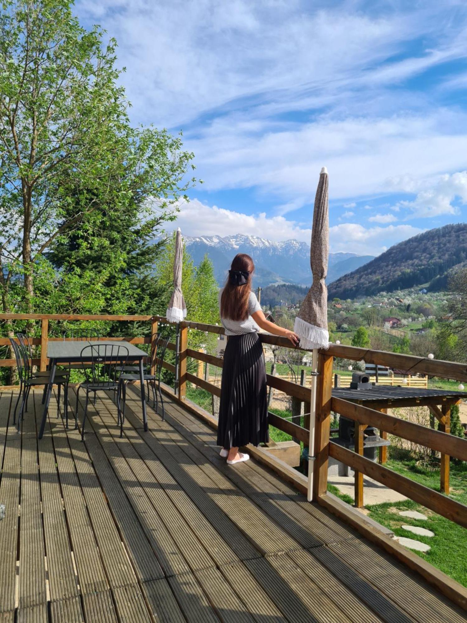 Bran Mountain Living Chalet