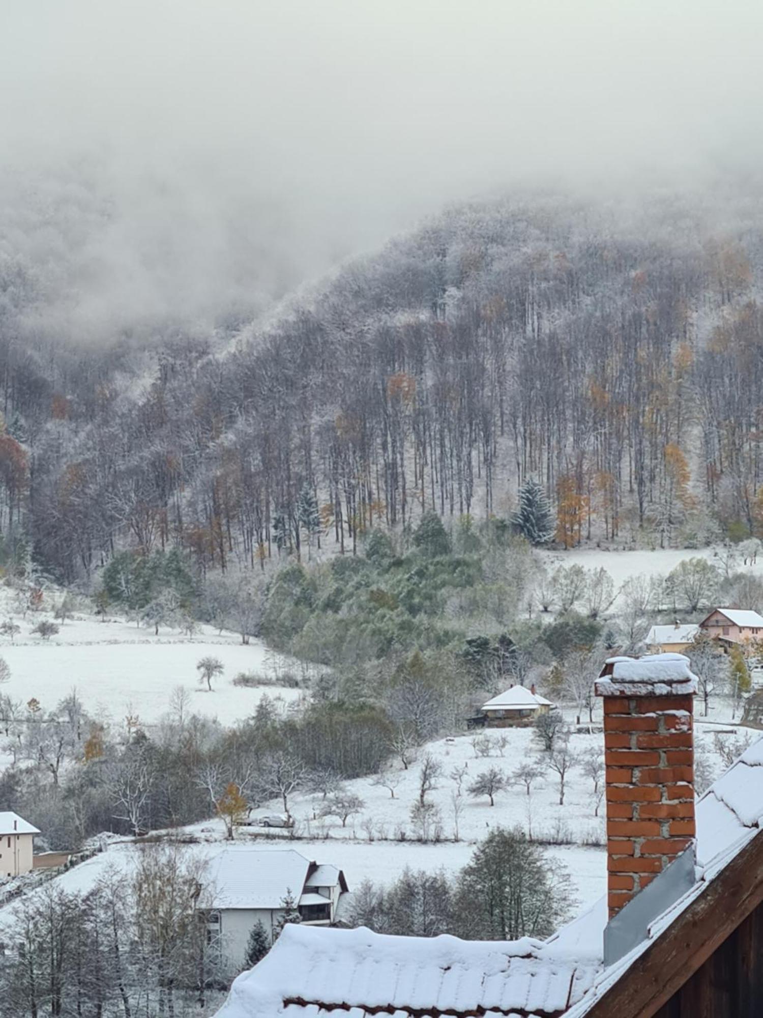 Chalet Bran Mountain Living Bran (Brasov)