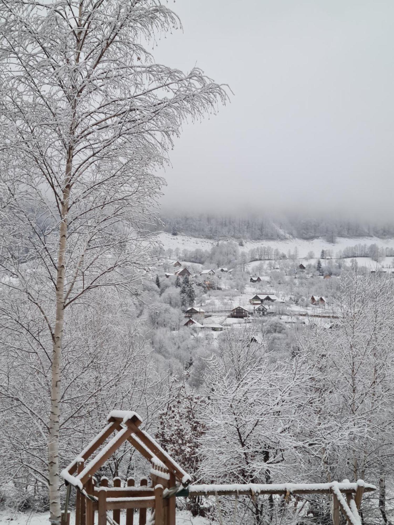 Bran Mountain Living Chalet *